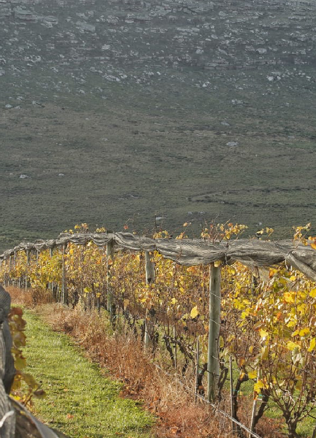 carrusel_historia- 12