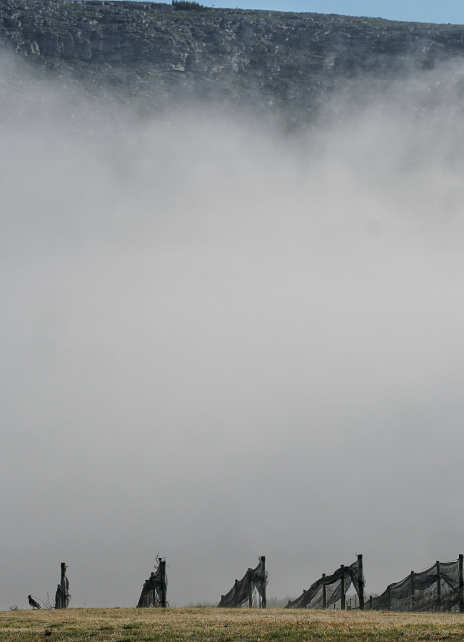 carrusel_historia- 13