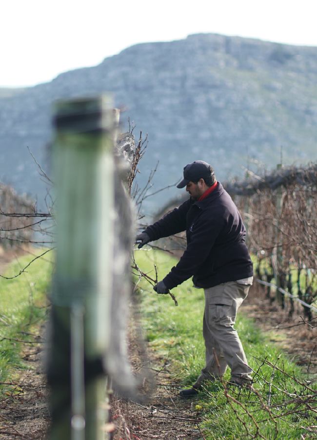 carrusel_historia- 14