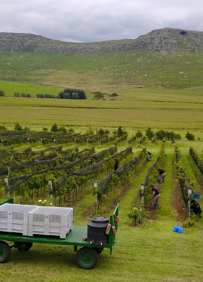 carrusel_historia- 16