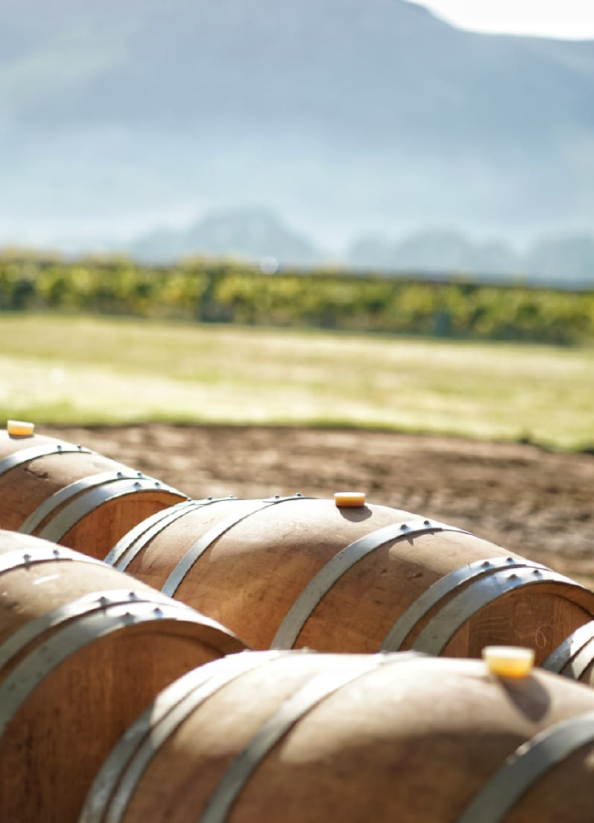 carrusel_historia- 17