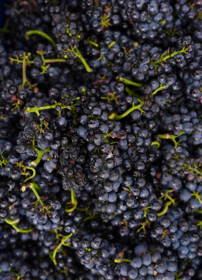 carrusel_historia- 19