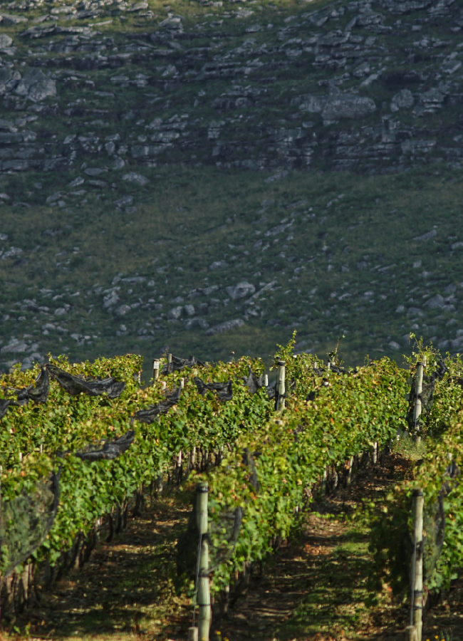 carrusel_historia- 2