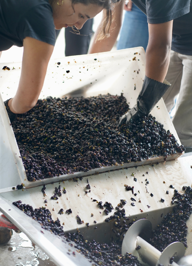 carrusel_historia- 20