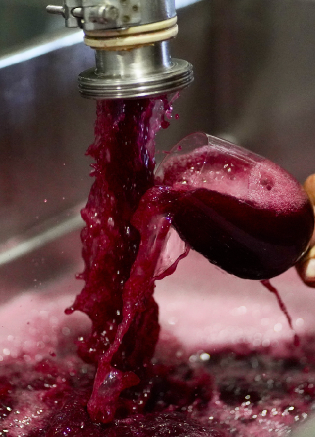 carrusel_historia- 21