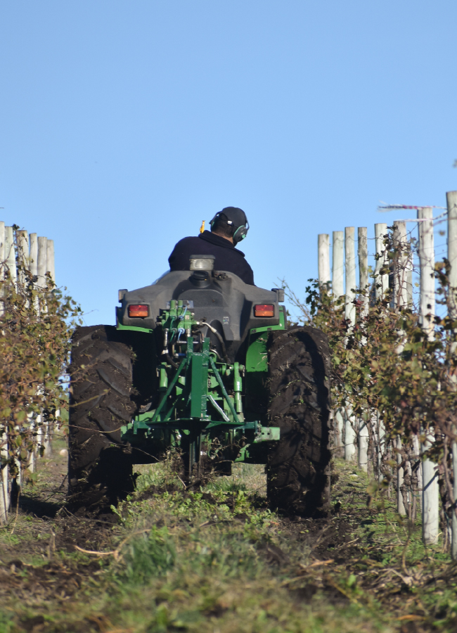 carrusel_historia- 22