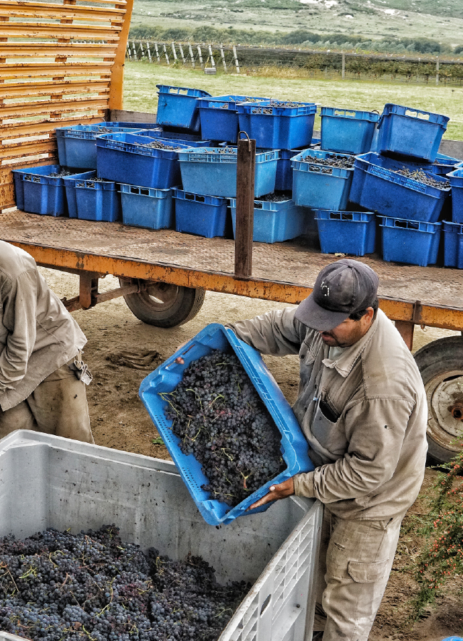 carrusel_historia- 23