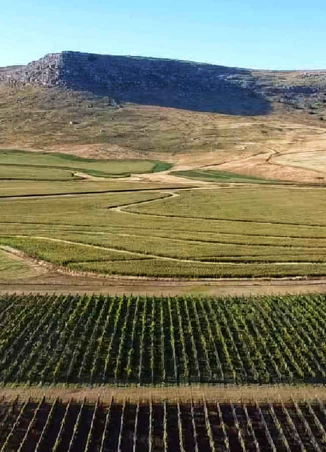 carrusel_historia- 5